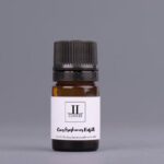 Scented Car Freshener Refill Oil